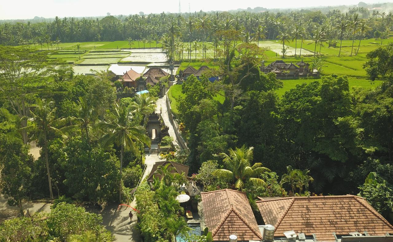 Villa Alam Surya Ubud Kültér fotó