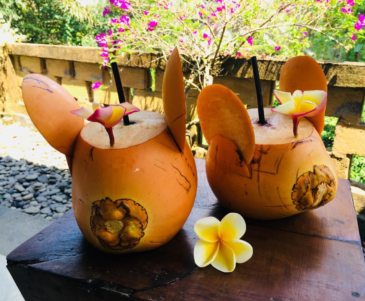 Villa Alam Surya Ubud Kültér fotó